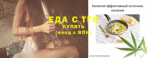 индика Алзамай