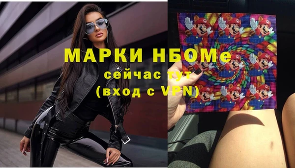 индика Алзамай