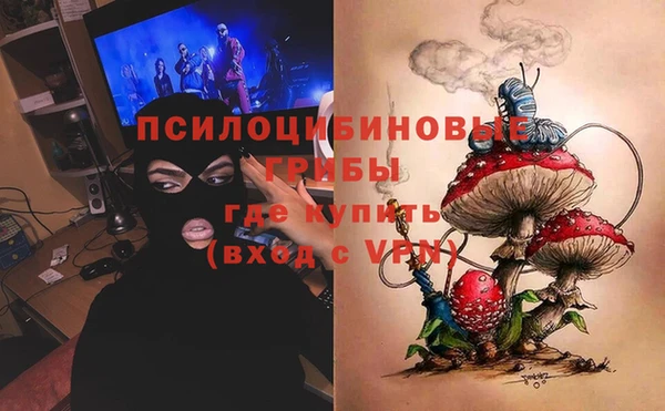 индика Алзамай
