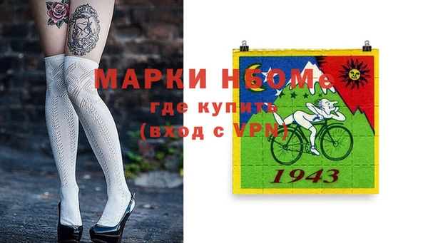 индика Алзамай