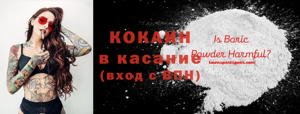 индика Алзамай