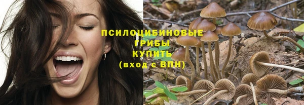 индика Алзамай