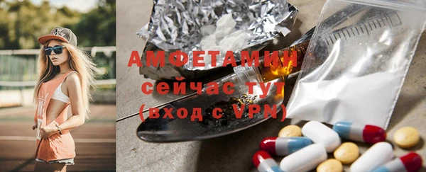 индика Алзамай